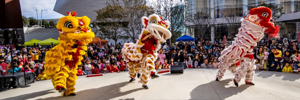 Dragon dance at Lantern Festival 2023. Outside in the plaza in front of a crowd. Photo by James Pan.