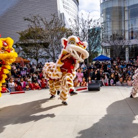 Dragon dance at Lantern Festival 2023. Outside in the plaza in front of a crowd. Photo by James Pan.